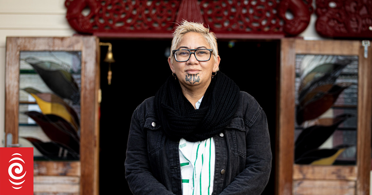 District Court confirms judicial recounts for Nelson, Mt Albert, Tāmaki Makaurau - Vimarsana News