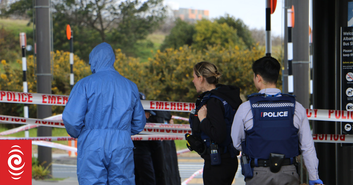Albany Bus Station incident: One dead, homicide inquiry launched - Vimarsana News