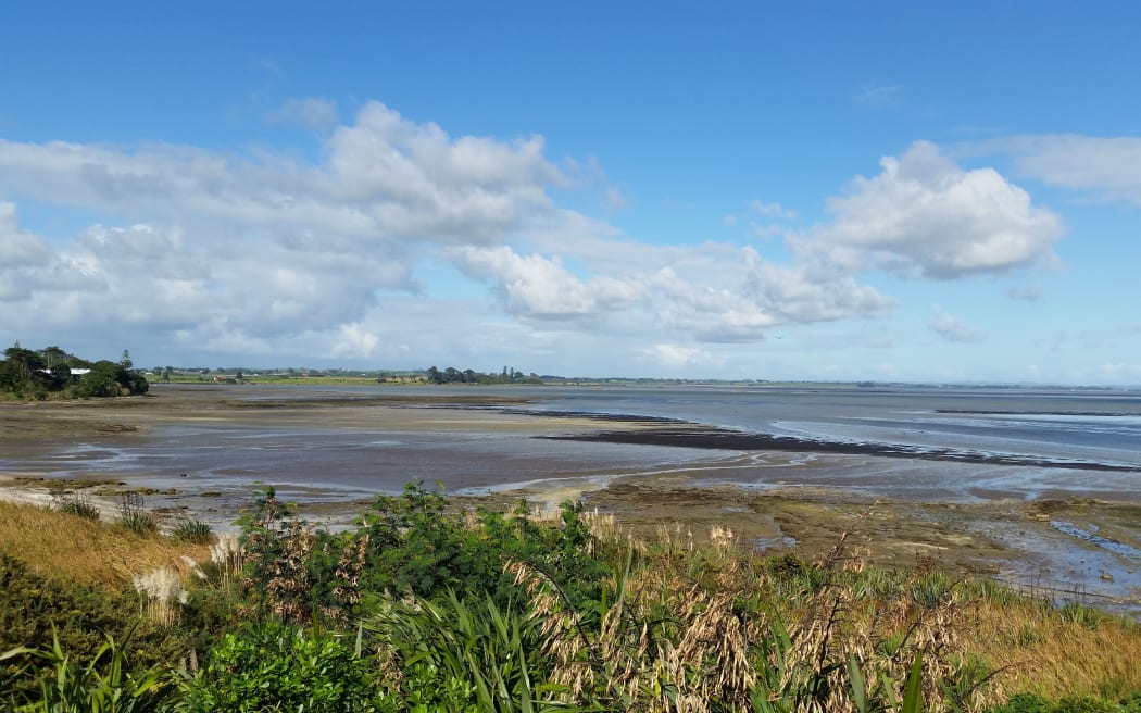 Three die in boating tragedy on Manukau Harbour RNZ News