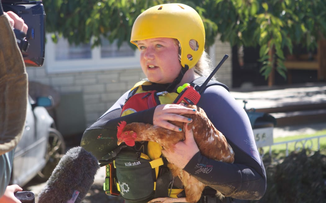 A chicken is rescued from the flood debris in Edgecumbe.