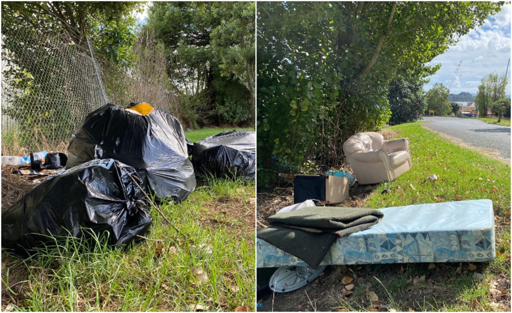 Examples of illegal dumping in South Auckland.