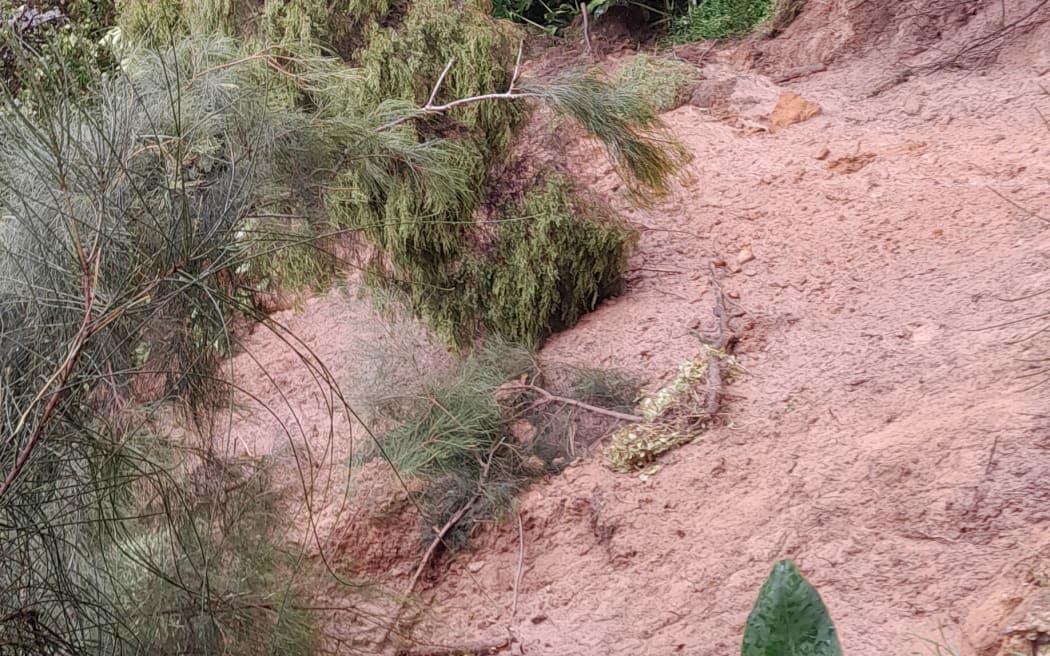 Cyclone Gabrielle Muriwai Domain Crescent residents asked to leave