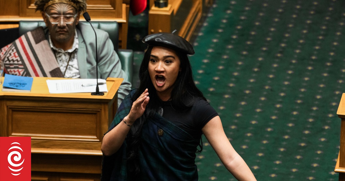 New Te Pāti Māori MPs make defiant debut speeches - Vimarsana News
