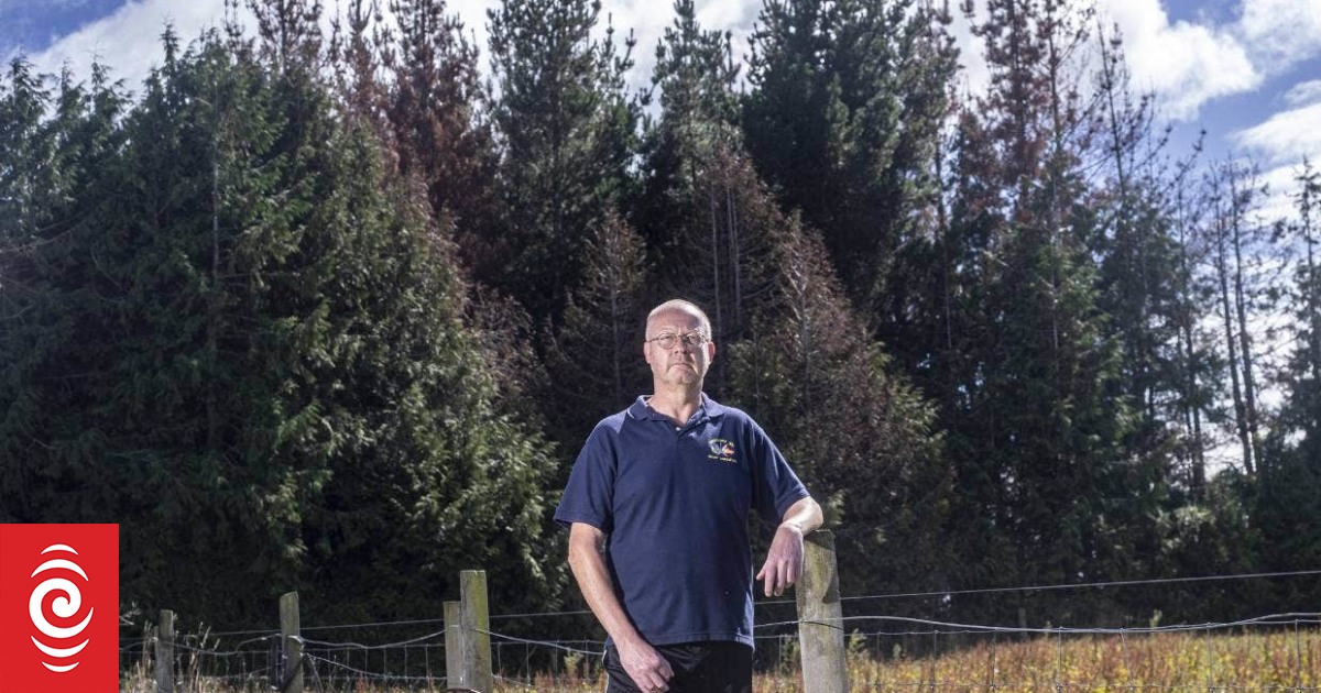 ‘I am the guilty bastard’, says Tuatapere tree poisoner
