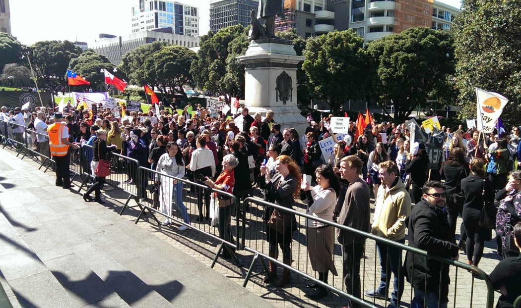 Crowds gather at Parliament to protest against domestic violence.
