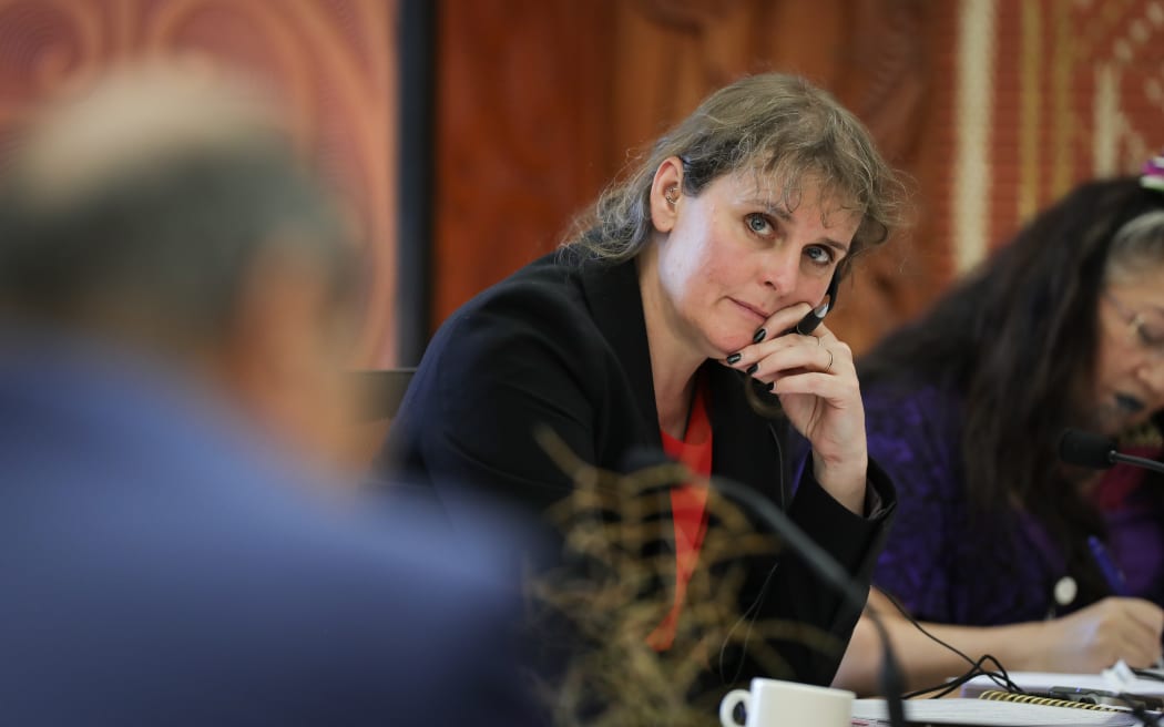 Labor Representative Sarah Palette hears evidence at selection committee