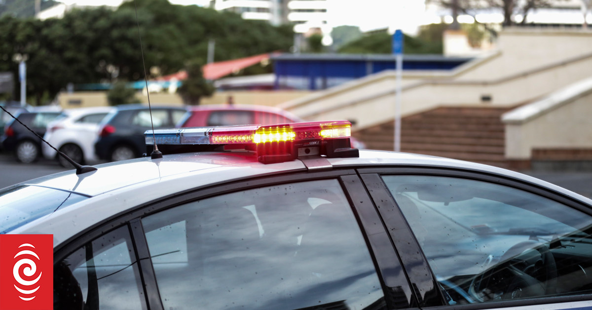 Police Search South Auckland Park After Person Assaulted Rnz News 