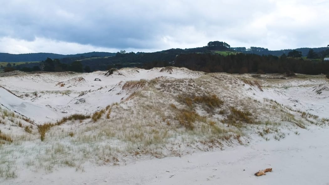 McCallum Bros to appeal after Auckland Council rejects Pakiri sand mining bid