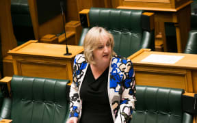 National MP Amy Adams speaks at the first reading of the Family and Whanau Violence Legislation Bill.