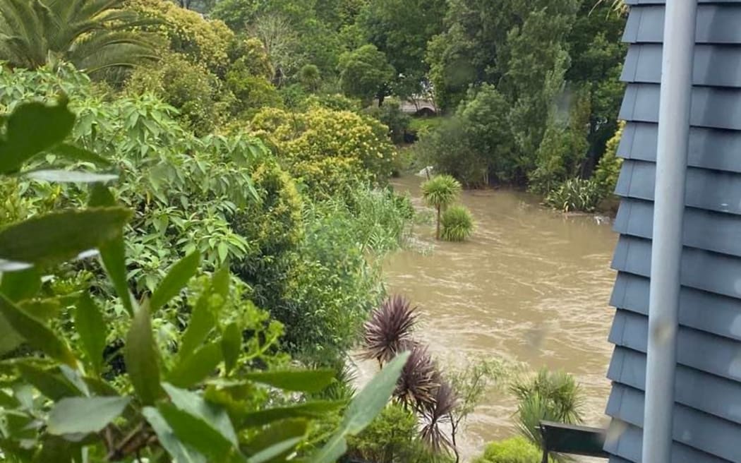 Meola Creek, at the back of a Point Chevalier property in Auckland