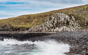 Basalt columns on the Chatham Islands