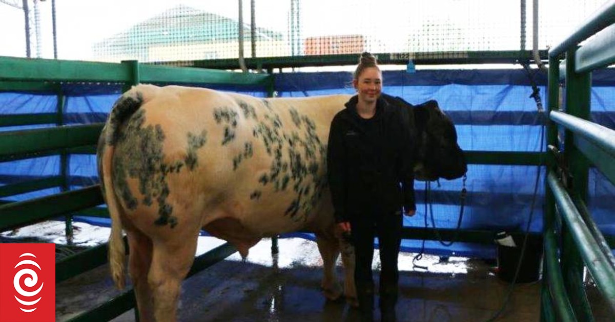 Axl Rose the star at this year's NZ Agriculture Show - Vimarsana News