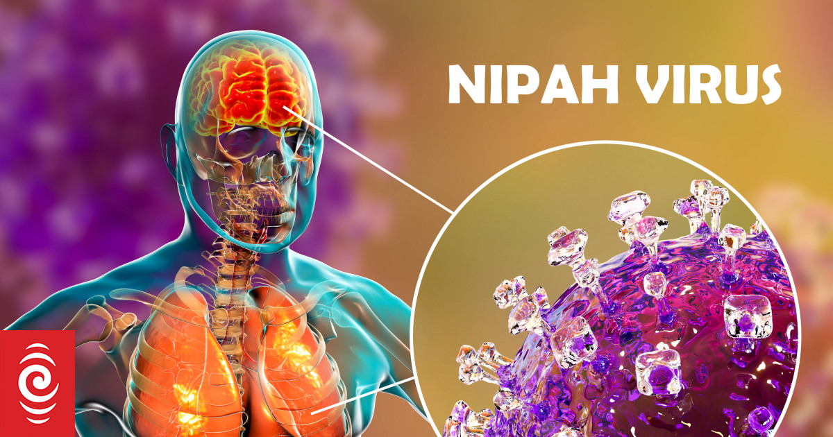 Over 700 people tested for Nipah virus after two deaths in India | RNZ News