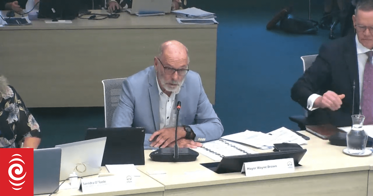 Wayne Brown lays down law over makeup of Auckland Council committees