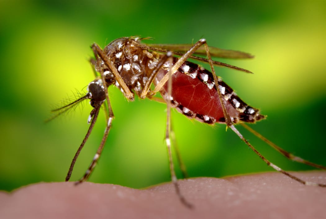 Vanuatu declares malaria outbreak in four provinces