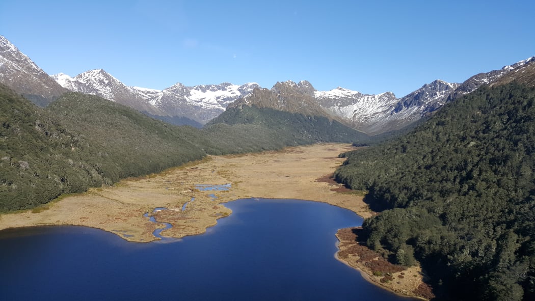 Takahē Valley was the site of the dramatic rediscovery of a species that had been thought extinct for many decades. During the recent takahē census, 18 takahē were found in the valley.