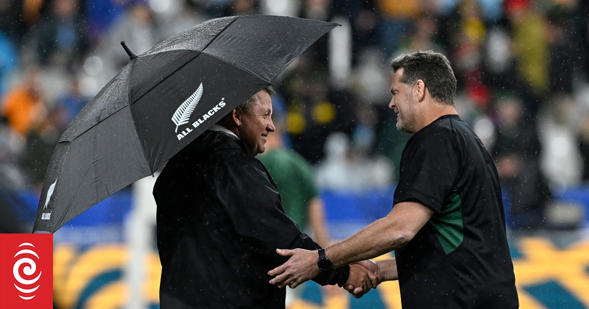 Erasmus to reclaim Springboks head coaching role - Vimarsana News