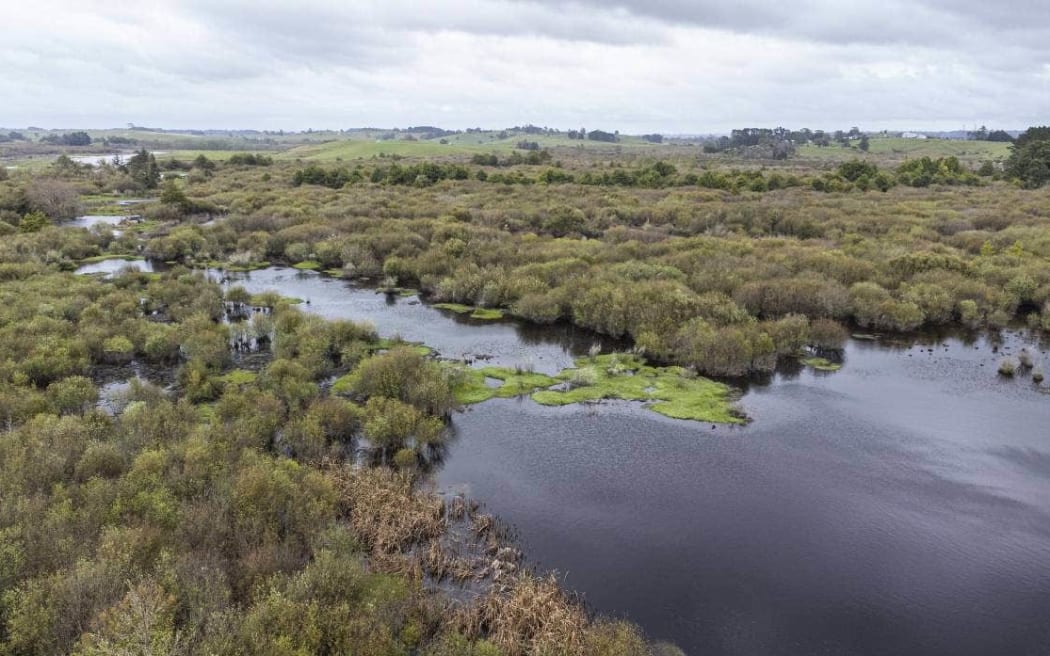 The wetlands covers more than 7000ha and are considered internationally significant.