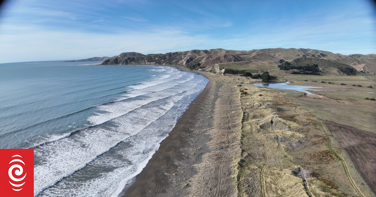 Vehicles no longer allowed on most of Marlborough's east coast as iwi files High Court review - Vimarsana News