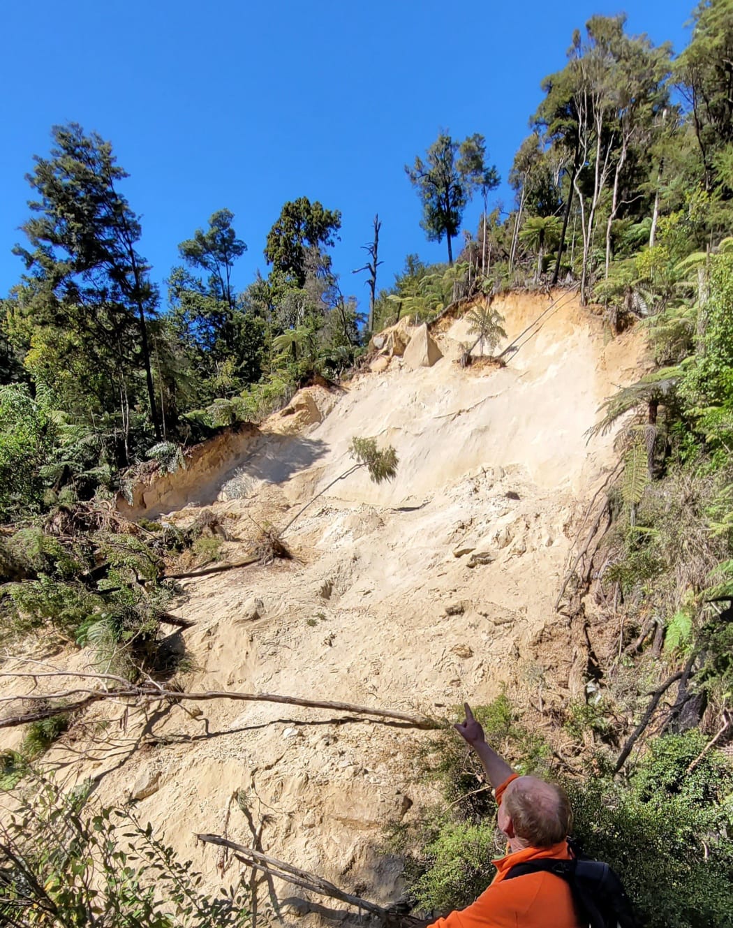Deluge closes parts of Abel Tasman and Queen Charlotte tracks RNZ News