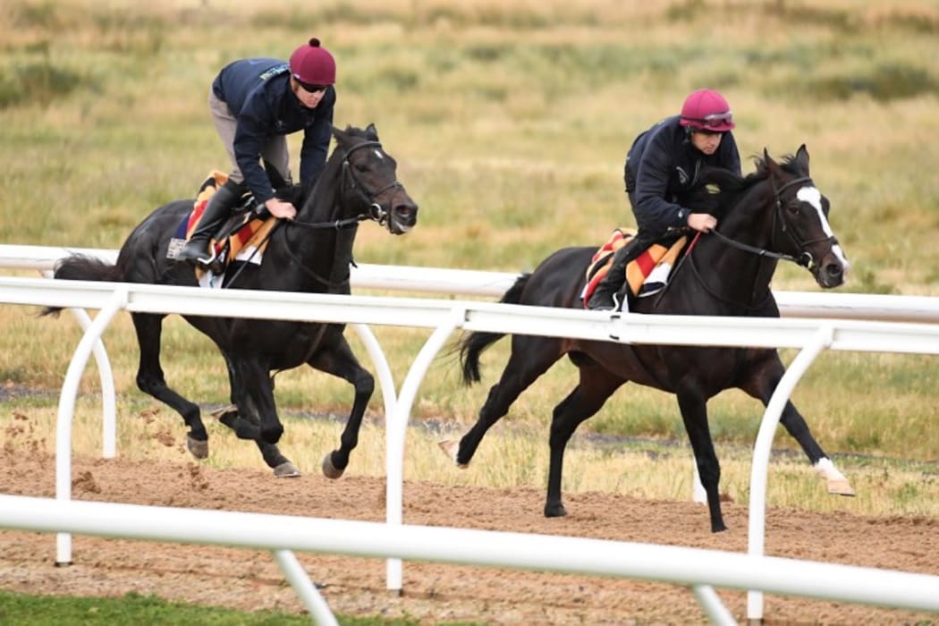 Melbourne Cup favourite Irish horse Yucatan (right) leads stablemate Cliffs of Moher during an early morning run at the Werribee racecourse.