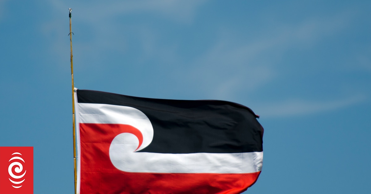 Māori and First Nations flags to fly at football World Cup