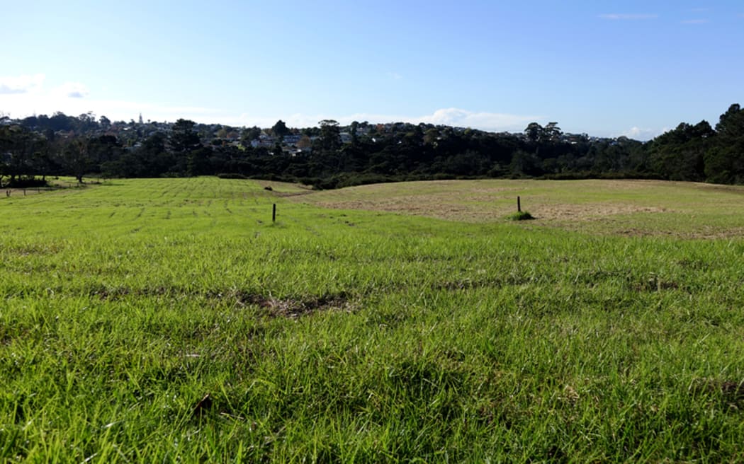 The Massey East parcel of Crown land identified for housing in Auckland.