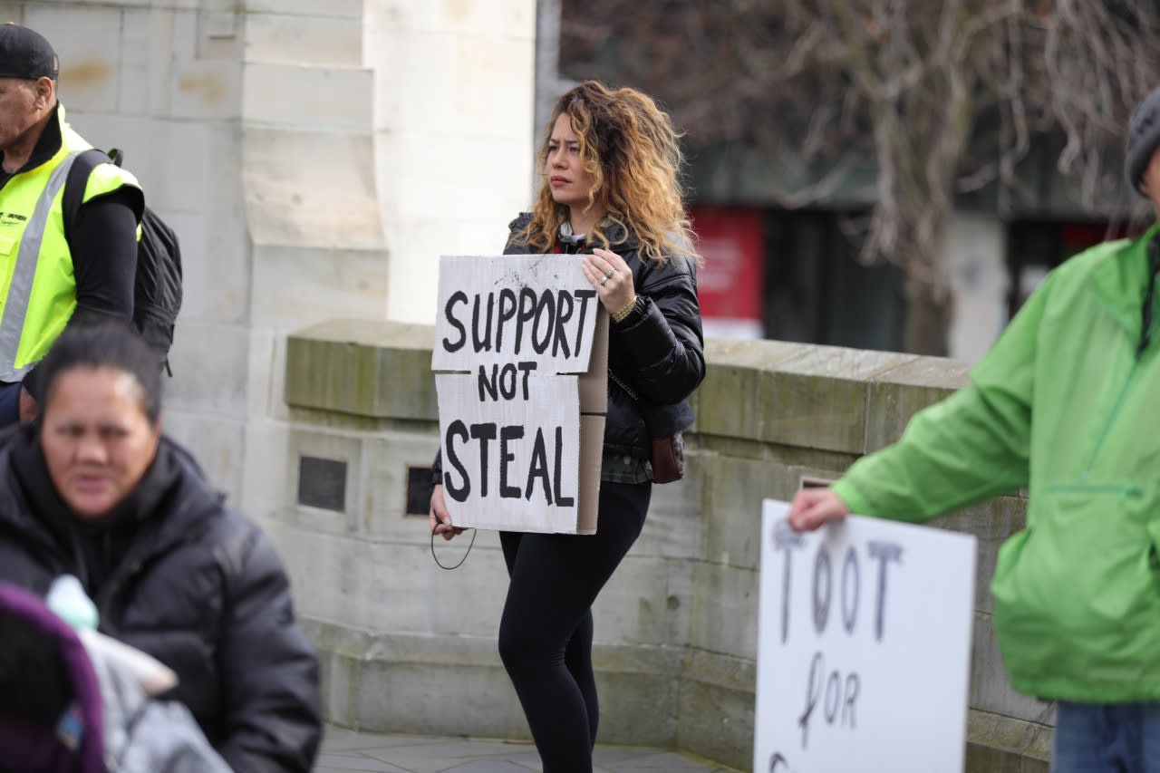 Oranga Tamariki protest | A Gallery from News | RNZ