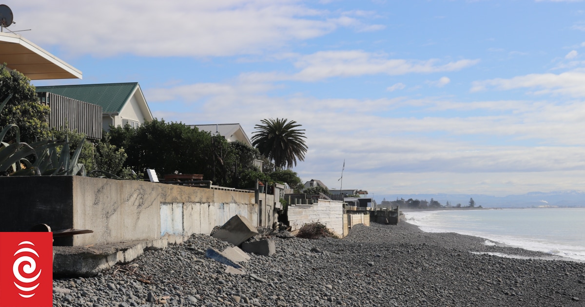 Substance on Hawke’s Bay beach that made dogs sick found to be waste byproduct