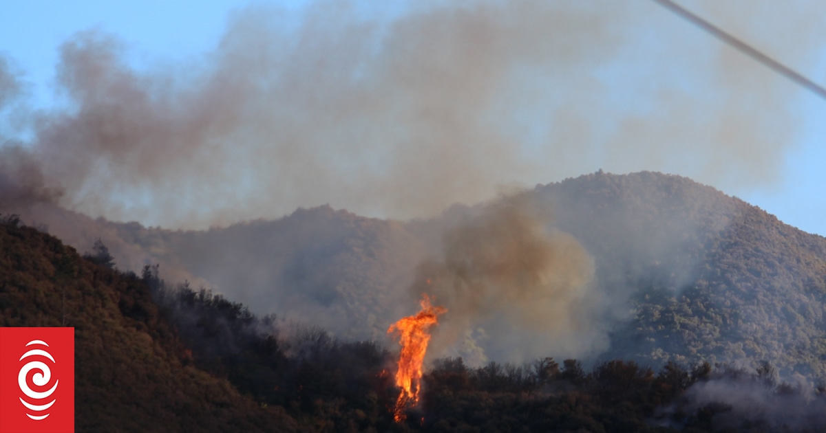 Wildfire season could kick off earlier this year, Fire and Emergency warns - Vimarsana News