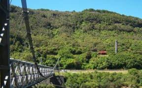 Missing woman and dog in West Coast bush found safe