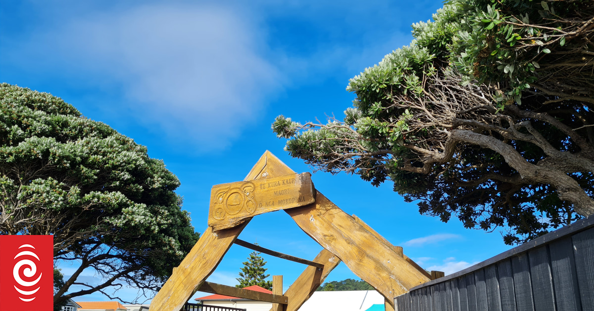 Budget 2023: Devil in the detail for how funding impacts Kura Kaupapa Māori - principal - Vimarsana News
