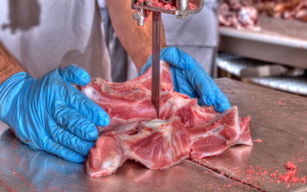 18717579 - close up of meat processing in food industry