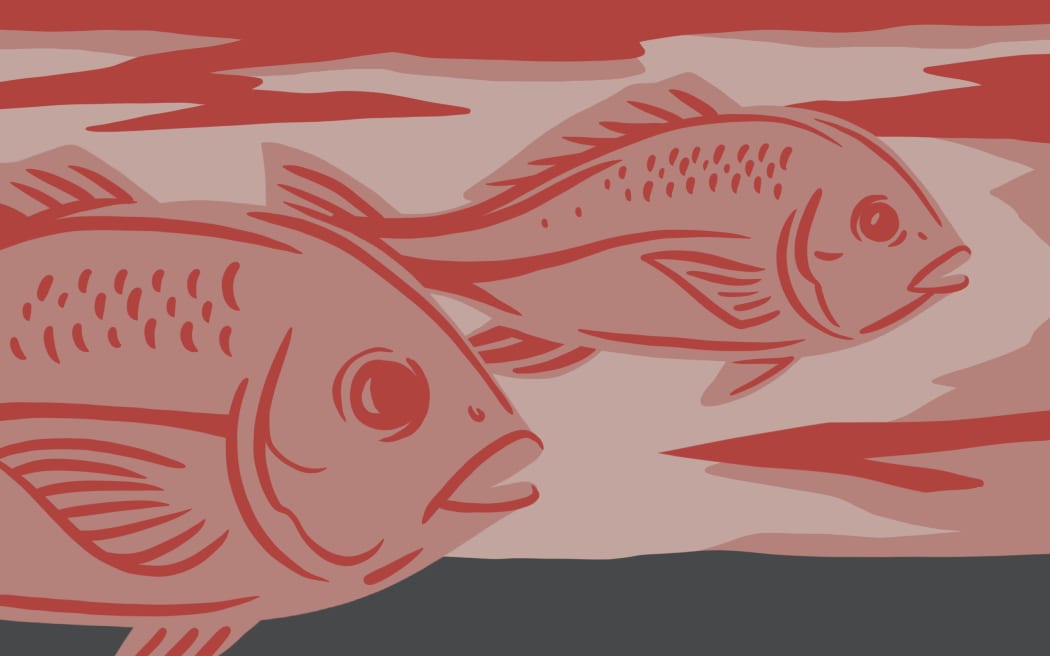 Illustration of Red Snapper swimming
