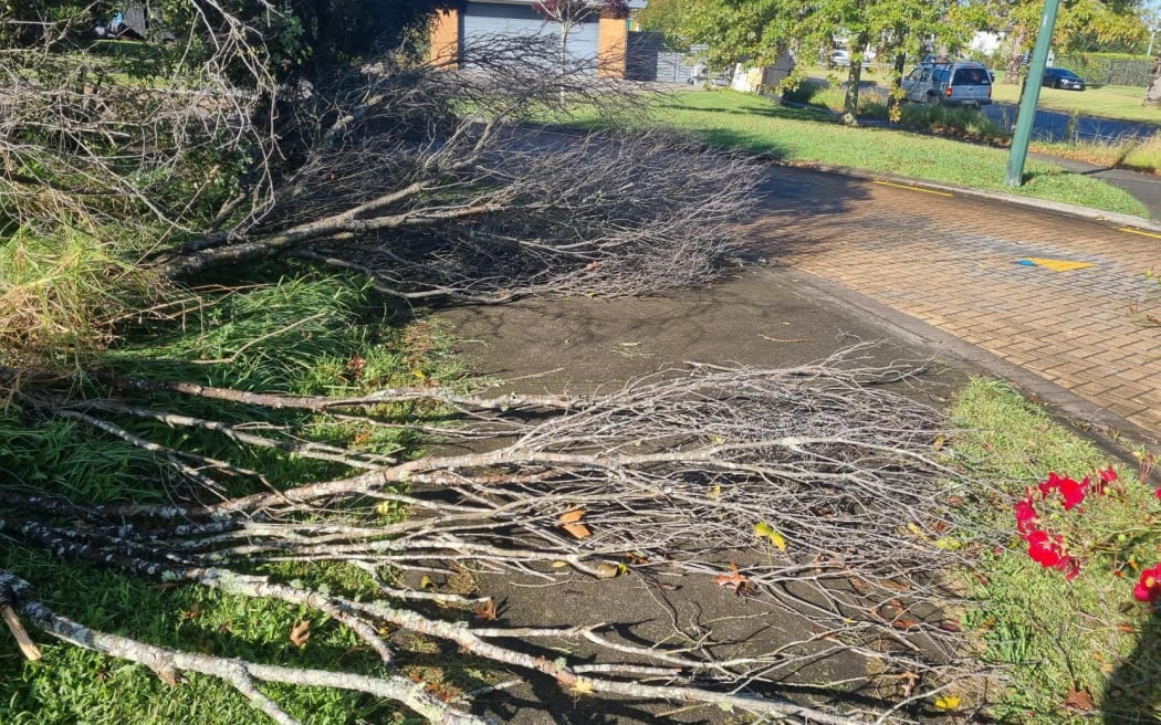 A tornado ripped through Auckland's East Tamaki on the night on 9 April, causing damage to property and downing trees.
Street: Marlon Lane