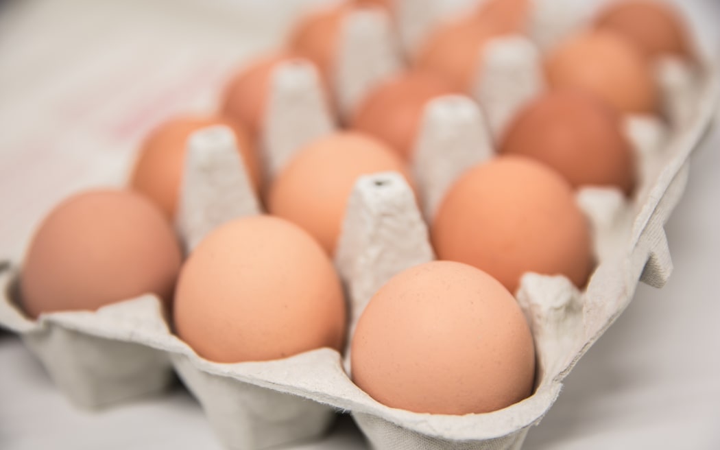 Generic eggs in cartons