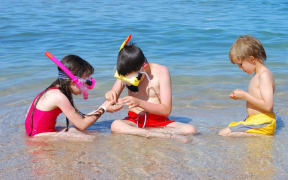 In 2014, six children under five drowned whilst unsupervised (file picture).