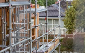 Housing construction in an East Auckland suburb