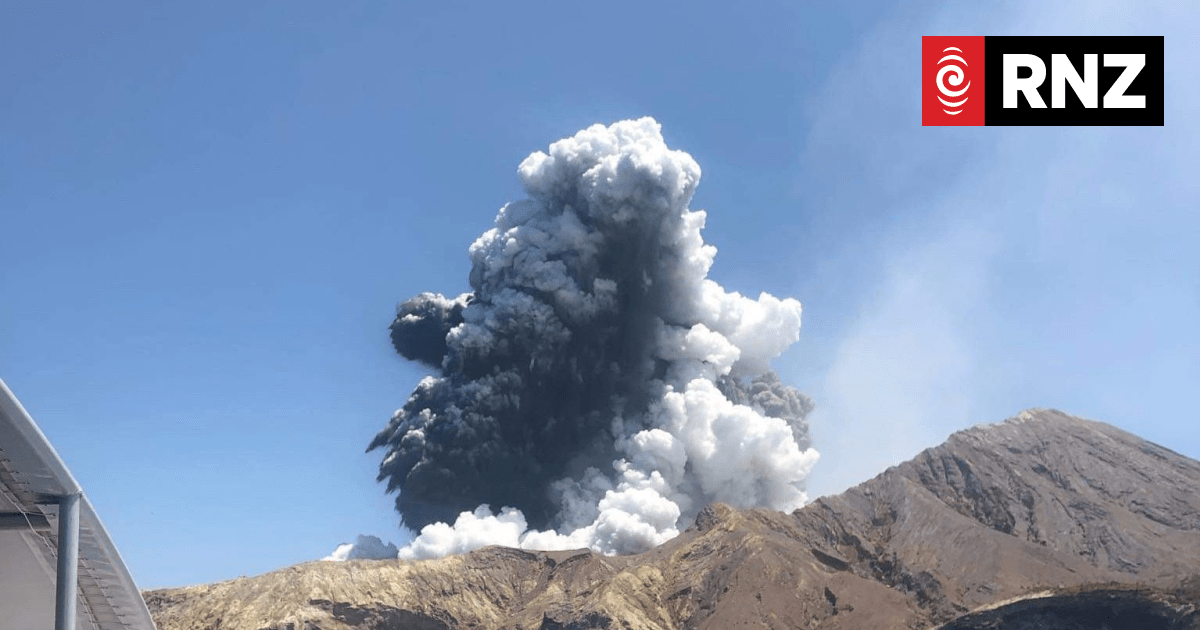 Whakaari / White Island: Booking agents seek to have charges dismissed - Vimarsana News