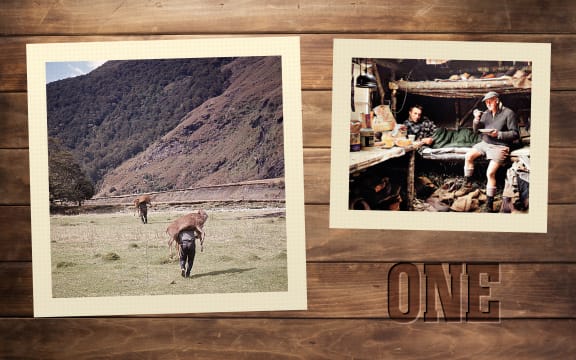 A timber wall reminiscent of a hunting hut has the word "one" stamped into it like a cattle brand. On the wall are two photos of deer hunters, one in a hut and the other carrying out deer carcasses