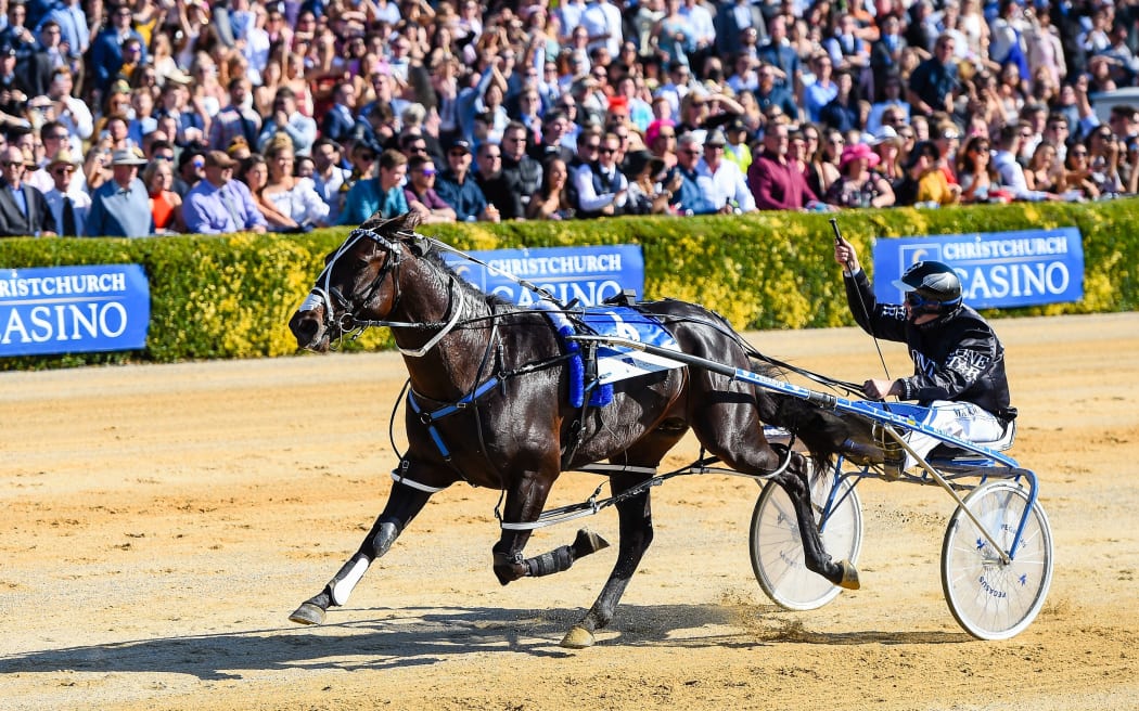 Race-fixing charges not expected to impact NZ Trotting Cup | RNZ News