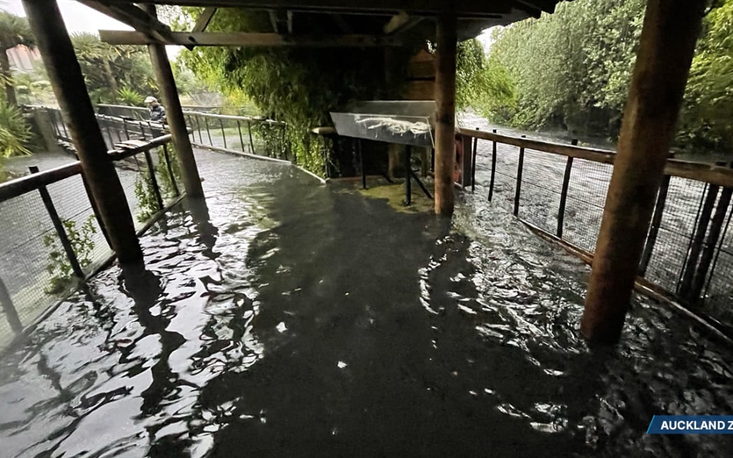 Auckland Zoo flooded after Friday's major rainfall.