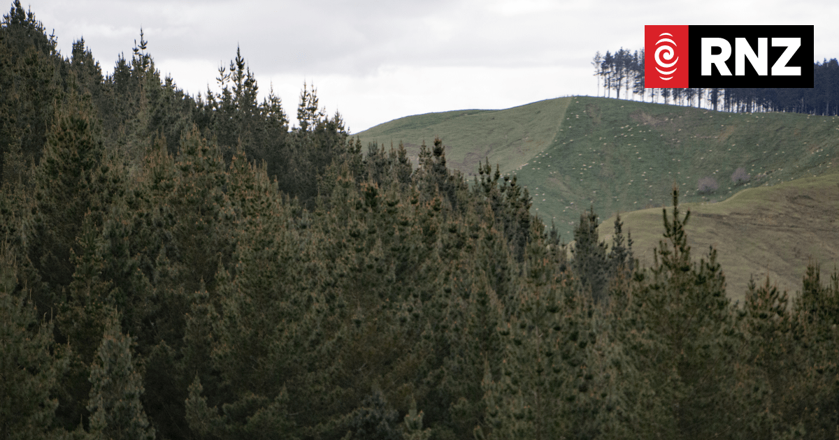 Carbon farming on Māori land: Assets or liabilities? - Vimarsana News