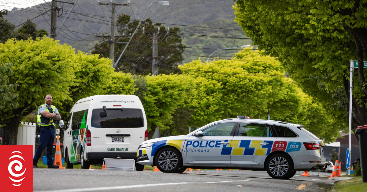 Man arrested following fatal Naenae hit-and-run, facing raft of charges - Vimarsana News