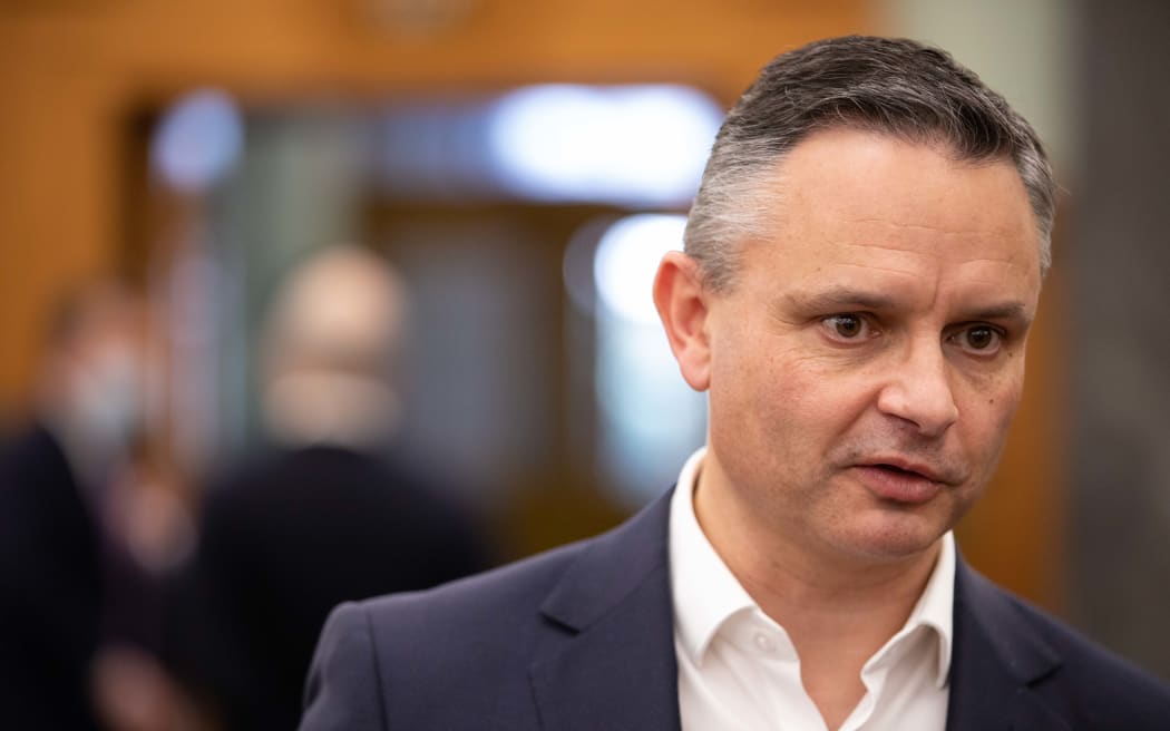 James Shaw may not have been green enough - Delahunty | RNZ News