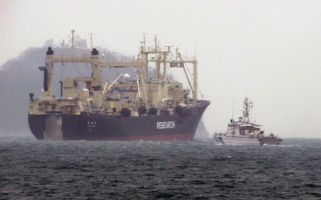 Japan's large Nisshin Maru whaling 'research' mother ship.