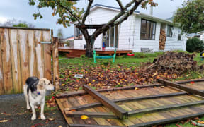 Damage done to a fence after a suspected tornado in Waikanae on 9.6.2022.