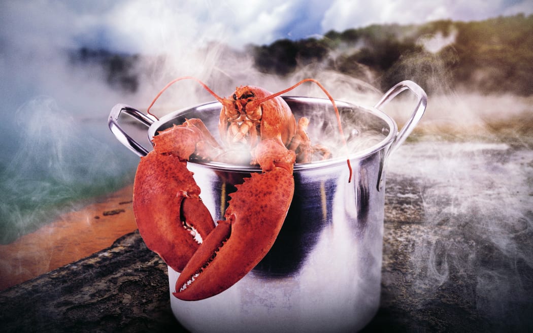 A lobster in a boiling pot.