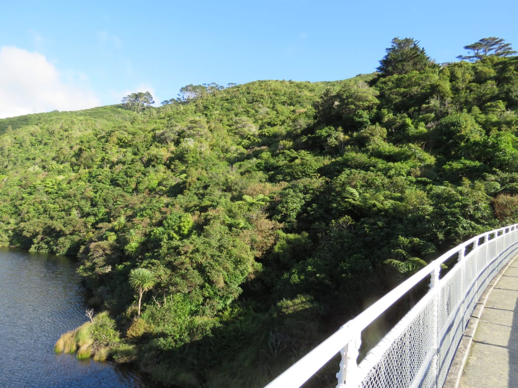 View from the top dam at Zealandia