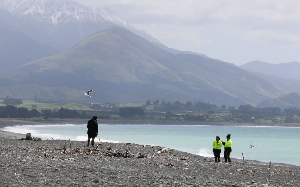 Restoring the balance of nature along the Kaikōura coastline RNZ